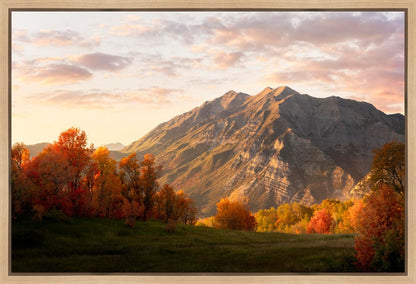Timpanogos Autumn