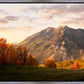 Timpanogos Autumn