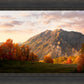 Timpanogos Autumn