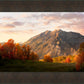 Timpanogos Autumn