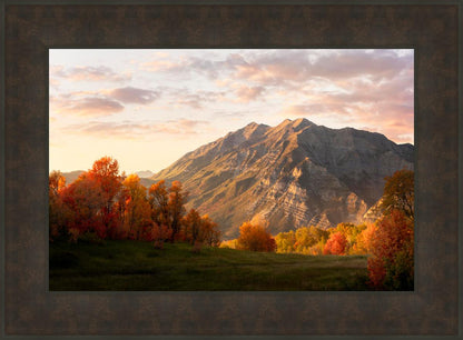 Timpanogos Autumn