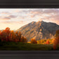 Timpanogos Autumn