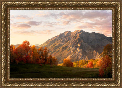 Timpanogos Autumn