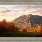 Timpanogos Autumn