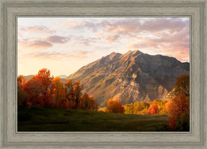 Timpanogos Autumn