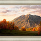 Timpanogos Autumn