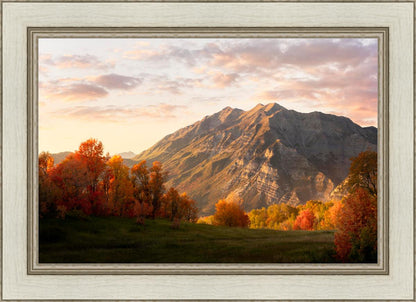Timpanogos Autumn