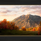 Timpanogos Autumn