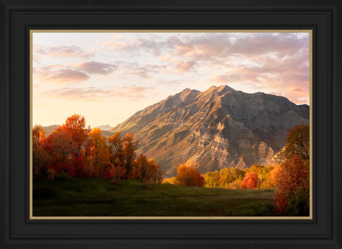 Timpanogos Autumn