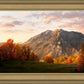 Timpanogos Autumn