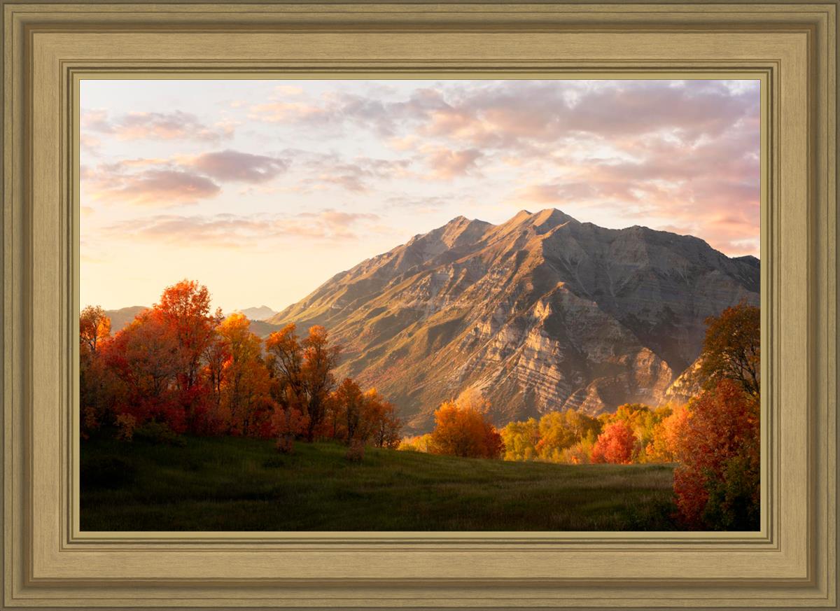 Timpanogos Autumn