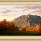 Timpanogos Autumn