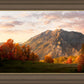 Timpanogos Autumn