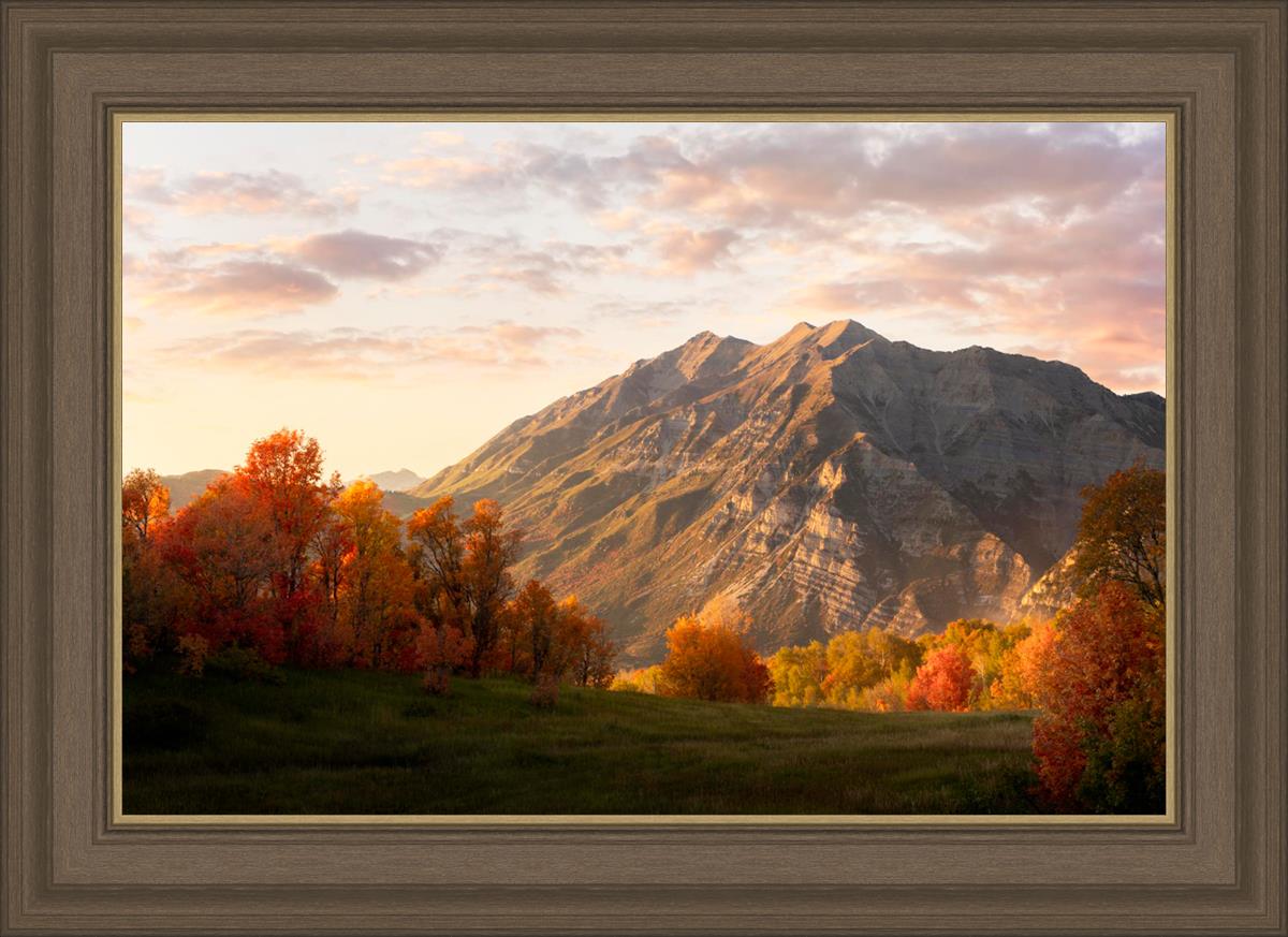 Timpanogos Autumn