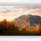 Timpanogos Autumn