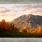 Timpanogos Autumn