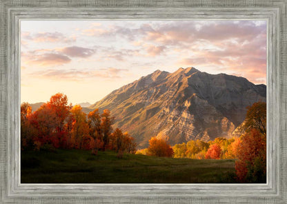 Timpanogos Autumn
