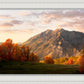 Timpanogos Autumn