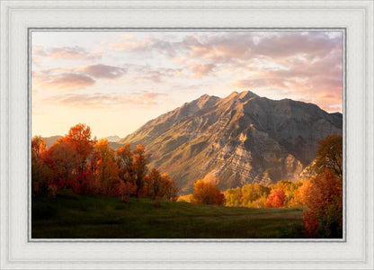 Timpanogos Autumn