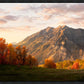 Timpanogos Autumn