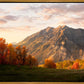 Timpanogos Autumn