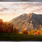 Timpanogos Autumn
