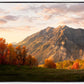 Timpanogos Autumn