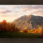Timpanogos Autumn