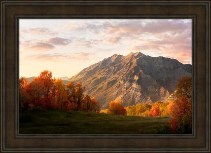 Timpanogos Autumn