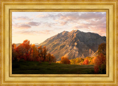 Timpanogos Autumn