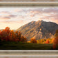 Timpanogos Autumn