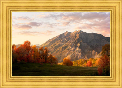 Timpanogos Autumn