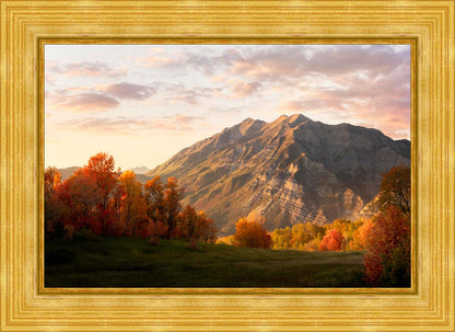 Timpanogos Autumn
