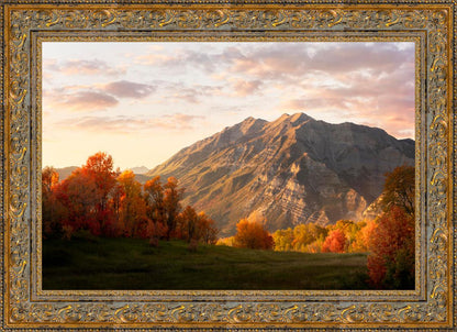 Timpanogos Autumn