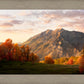 Timpanogos Autumn