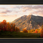 Timpanogos Autumn