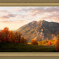 Timpanogos Autumn