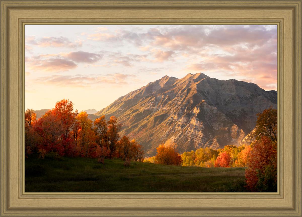 Timpanogos Autumn