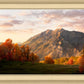 Timpanogos Autumn