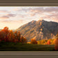 Timpanogos Autumn