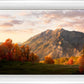 Timpanogos Autumn