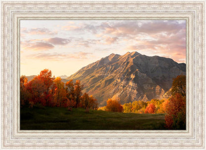 Timpanogos Autumn