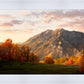 Timpanogos Autumn