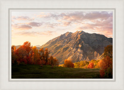 Timpanogos Autumn