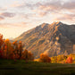 Timpanogos Autumn
