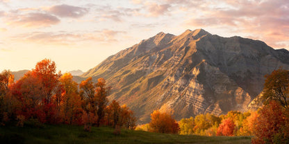 Timpanogos Autumn