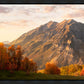 Timpanogos Autumn