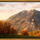 Timpanogos Autumn