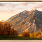 Timpanogos Autumn