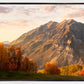 Timpanogos Autumn
